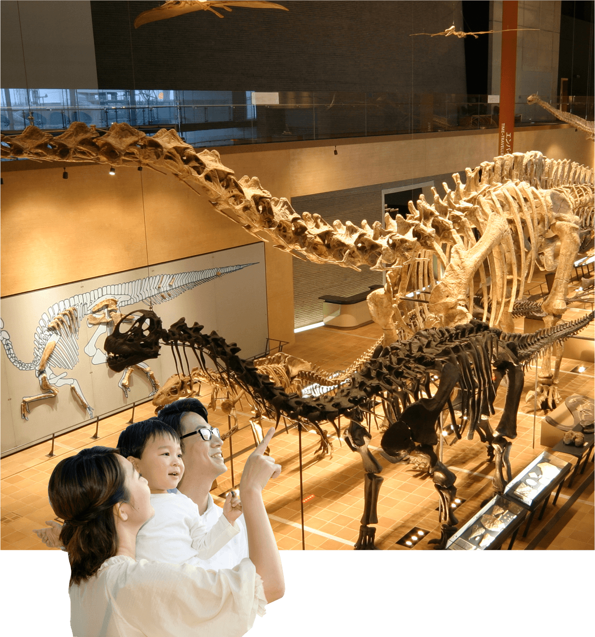 Kitakyushu Museum of Natural History & Human History