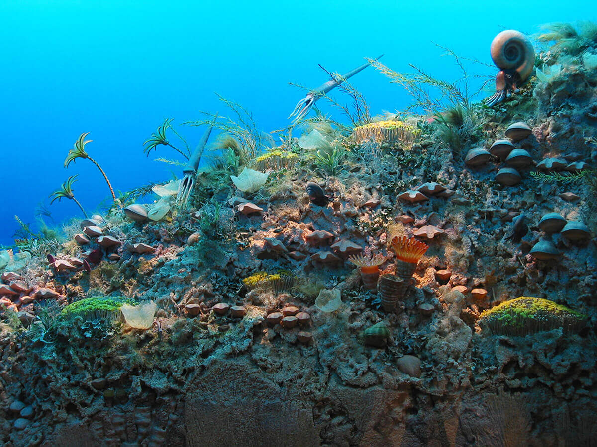 約3億年前のサンゴ礁のジオラマ
の画像